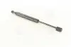 Амортизатор багажника AUDI кор.код. GS0103) MAGNETI MARELLI 430719010300 (фото 1)