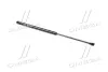 Амортизатор багажника VOLKSWAGEN Bora кор.код. GS0131) MAGNETI MARELLI 430719013100 (фото 3)