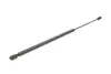 Амортизатор кришки багажника MAGNETI MARELLI 430719013600 (фото 6)