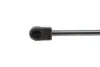 Амортизатор кришки багажника MAGNETI MARELLI 430719016500 (фото 3)