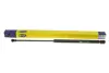 Амортизатор кришки багажника MAGNETI MARELLI 430719019300 (фото 5)