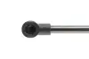 Амортизатор кришки багажника MAGNETI MARELLI 430719022600 (фото 3)