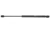 Амортизатор кришки багажника MAGNETI MARELLI 430719024000 (фото 1)