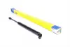 Амортизатор кришки багажника MAGNETI MARELLI 430719058200 (фото 1)