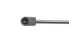 Фото 3 - амортизатор кришки багажника Audi A6 05-11 MAGNETI MARELLI 430719081200 Амортизатор кришки багажника Audi A6 05-11 MAGNETI MARELLI 430719081200 (фото 3)