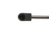 Амортизатор кришки багажника MAGNETI MARELLI 430719081500 (фото 3)