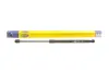 Амортизатор кришки багажника MAGNETI MARELLI 430719084400 (фото 1)