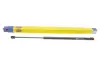 Амортизатор кришки багажника MAGNETI MARELLI 430719084800 (фото 1)