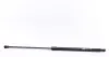 RENAULT амортизатор капота Sandero 12-, Logan 12- MAGNETI MARELLI 430719104700 (фото 5)