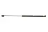 Амортизатор кришки багажника MAGNETI MARELLI 430719108200 (фото 1)