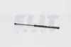 Амортизатор капота AUDI A3 09/96-05/03 MAGNETI MARELLI GS0260 (фото 1)