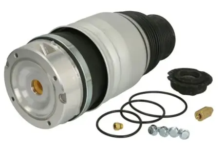 Пневмоподушка передн Прав AUDI Q7 PORSCHE CAYENNE VW TOUAREG 2.5D-6.0D 09.02-08.15 MAGNUM TECHNOLOGY MZA014MT