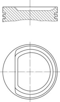 Поршень Mahle 0102901