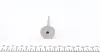 Клапан (впуск) Renault Kangoo 1.5dci 01- MAHLE / KNECHT 021 VE 31060 000 (фото 2)