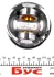 Поршень VW T5 2.0TDI (81.00mm/STD) Mahle 028 PI 00100 000 (фото 3)