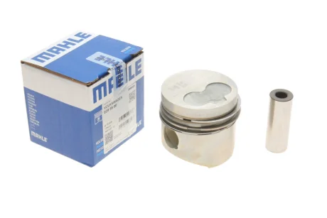 Поршень Mahle 0295500