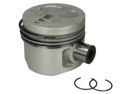 Поршень Caddy II 1.9D/T4 1.9D/2.4D (79.51mm) Mahle 0298200