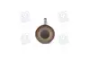Клапан впускний IN VAG 1,2/1,6 16V 29.5x6x100.9 (Mahle) MAHLE / KNECHT 029 VE 30528 000 (фото 4)