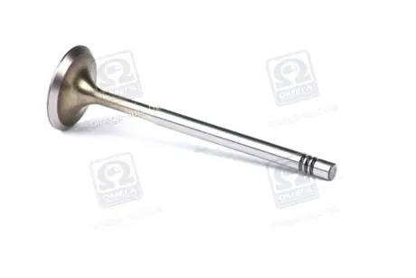 Клапан (впуск) VW Caddy II/III/Golf 1.4/1.6FSI/TSI 00- (29.5x6x100,9) MAHLE / KNECHT 029 VE 30528 000