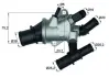 Термостат MAHLE / KNECHT TI 162 88 (фото 1)