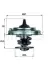 Термостат MAHLE / KNECHT TX 34 87 D (фото 1)