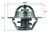 Термостат MAHLE / KNECHT TX 88 88 D (фото 1)