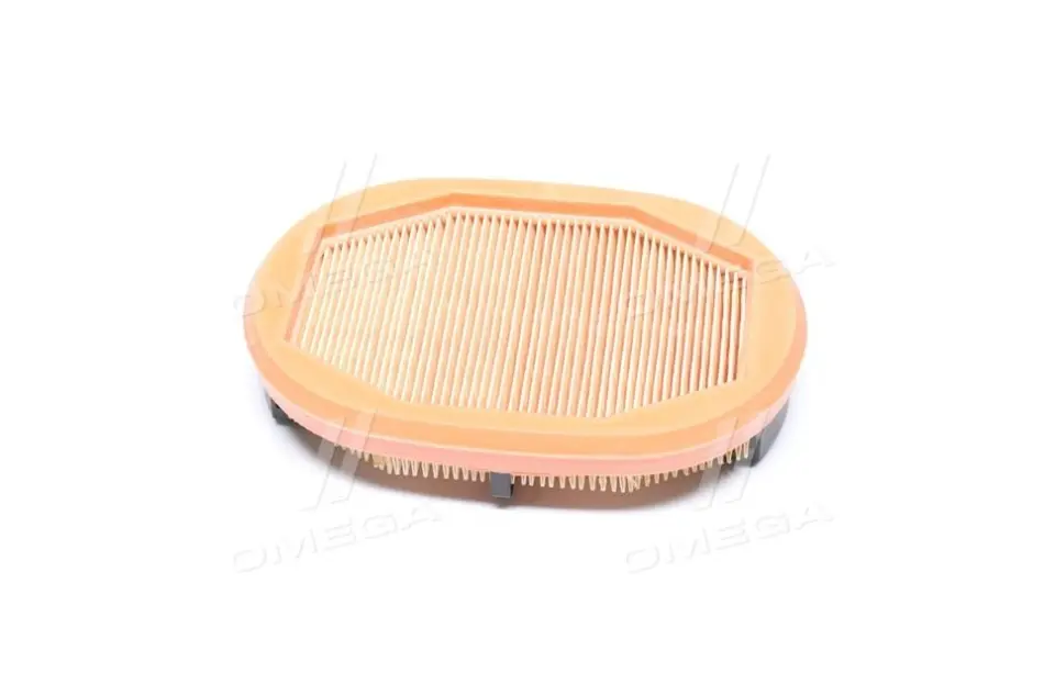 Фільтр повітряний 208x141x45 AEBI 420, 460 CASE IH FARMLIFT 525, FARMLIFT 526 CATERPILLAR AP 300 DIECI 30.7 GD, T60 (DCI), T70 (KCL), STAR 38.10, STAR 40.7 LINDNER 102 SE5, 112 LDrive Mann CF2125 (фото 1)