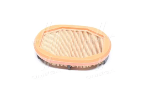 Фільтр повітряний 208x141x45 AEBI 420, 460 CASE IH FARMLIFT 525, FARMLIFT 526 CATERPILLAR AP 300 DIECI 30.7 GD, T60 (DCI), T70 (KCL), STAR 38.10, STAR 40.7 LINDNER 102 SE5, 112 LDrive Mann CF2125