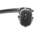 HYUNDAI датчик обертів двигуна Elantra,i30,40,Tucson,Kia Ceed,Cerato,Rio III,Soul 1.4/2.0 06 Meat & Doria 87679 (фото 3)