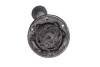 Піввісь (передня) (R) Skoda Fabia/Roomster/VW Polo 05-17 (36z/752mm) Metelli 17-1305 (фото 3)