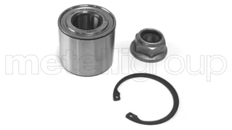 Підшипник маточини (задньої) Renault Megane II/Scenic II 03- (25x55x48) (к-кт) Metelli 19-2735