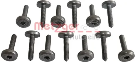 Набір гвинтів з внутр. шестигранником Metzger 8029025