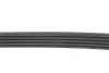 Ремінь генератора Ford Focus/Kuga 2.5 05- (5PK850) MEYLE 050 005 0850 (фото 3)