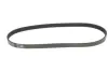 Ремінь генератора Renault Kangoo 1.2i 97- (5PK875) MEYLE 050 005 0875 (фото 1)