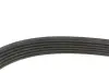 Ремінь генератора Citroen Berlingo/Jumper/Jumpy/Fiat Ducato/Scudo/Peugeot Boxer/Expert (6PK725) MEYLE 050 006 0725 (фото 2)