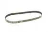 Ремінь генератора Citroen Jumper/Peugeot Boxer 2.0/2.2HDi 04- (-AC)/Opel Movano 2.5D MEYLE 050 006 0875 (фото 4)