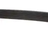 Ремінь генератора Peugeot Partner 10-/Citroen Berlingo 05- 1.6 HDI (6PK976) MEYLE 050 006 0976 (фото 2)