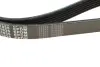 Ремінь генератора VW Caddy 1.9D/SDI -03 (6PK1035) MEYLE 050 006 1035 (фото 4)