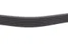 Ремінь генератора Renault Kangoo 1.9dTi/dCi 01- (6PK1210) MEYLE 050 006 1210 (фото 3)