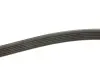 Ремінь генератора Citroen Berlingo 1.9D 98- (6PK1390) MEYLE 050 006 1390 (фото 3)
