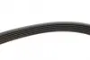 Ремінь генератора VW LT 28-35/28-46 2.8TDI 01-06 MEYLE 050 006 2155 (фото 3)