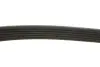 Ремінь генератора MB Sprinter CDI (+AC) (6PK2270) MEYLE 050 006 2270 (фото 2)
