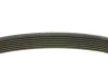 Ремінь генератора Renault Megane/Scenic 1.9dCi/2.0 03-/Nissan Juke 1.6 10- (7PK1125) MEYLE 050 007 1125 (фото 2)