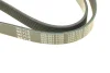 Ремінь генератора Renault Megane/Scenic 1.9dCi/2.0 03-/Nissan Juke 1.6 10- (7PK1125) MEYLE 050 007 1125 (фото 3)