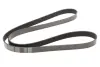 Ремінь генератора BMW 5 (E39)/7 (E38) 3.5i/4.0i 93-04 (7PK1629) MEYLE 050 007 1629 (фото 1)