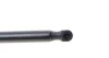 Амортизатор капоту VW Caddy III 04-10/Touran 03-06 MEYLE 140 910 0066 (фото 4)