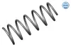 Пружина (передня) BMW 5 (E34) 2.0-3.4 88-95 MEYLE 314 031 0001 (фото 1)