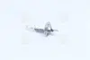 Лампа розжарювання H1 12V 55W P14.5s NARVA 48320C1 (фото 1)
