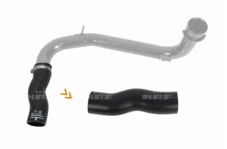 Патрубок інтеркулера Citroen Jumper/Fiat Ducato/Peugeot Boxer 3.0 HDI 06- NRF 166170