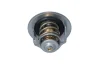 Термостат Ford Fiesta/Escort 1.1-1.3i 86-03 (92 °C) NRF 725016 (фото 1)